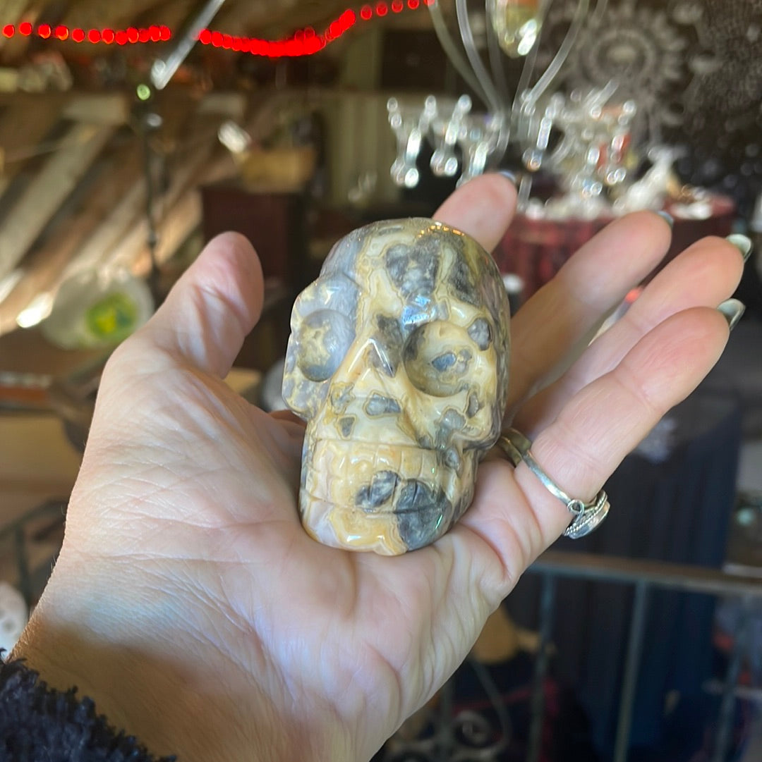 Large Crazy Lace Crystal Skull