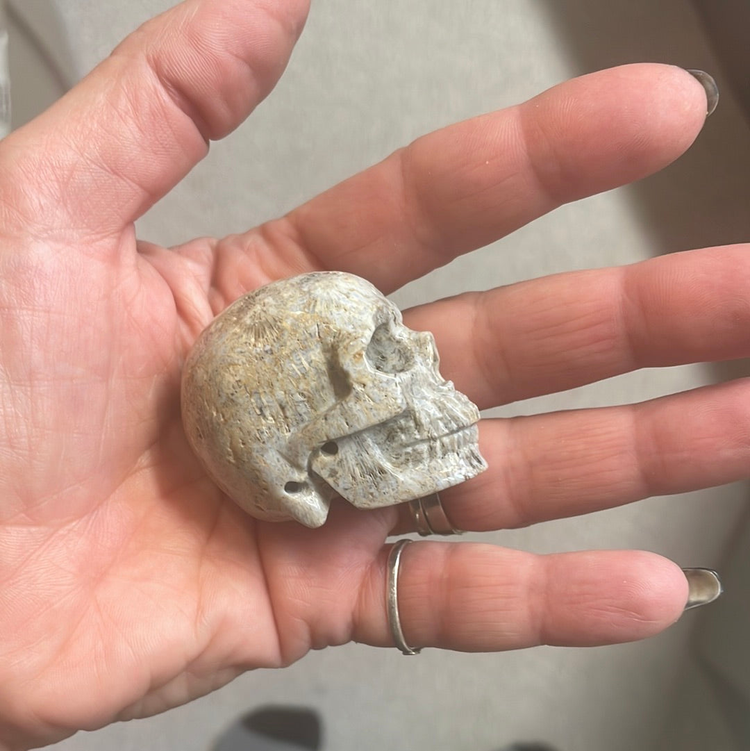 Fossilized Coral Crystal Skull