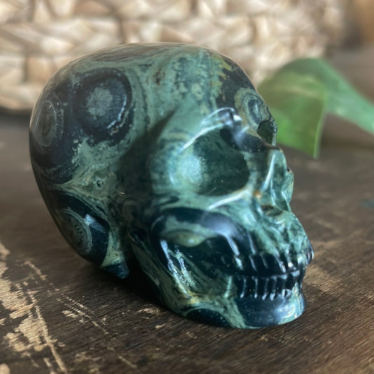 Kambaba Jasper Crystal Skull