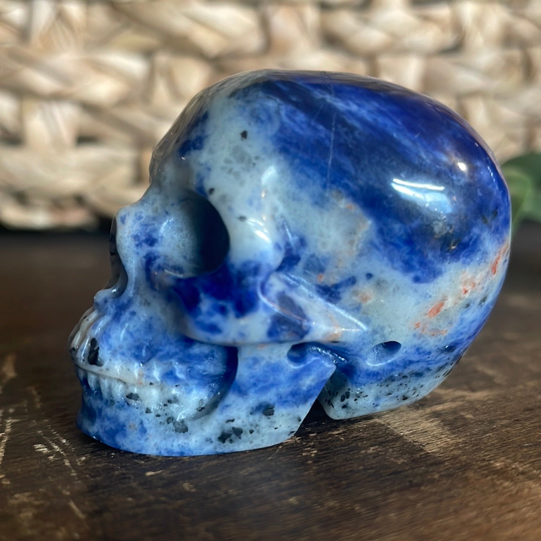 Sodalite Crystal Skull