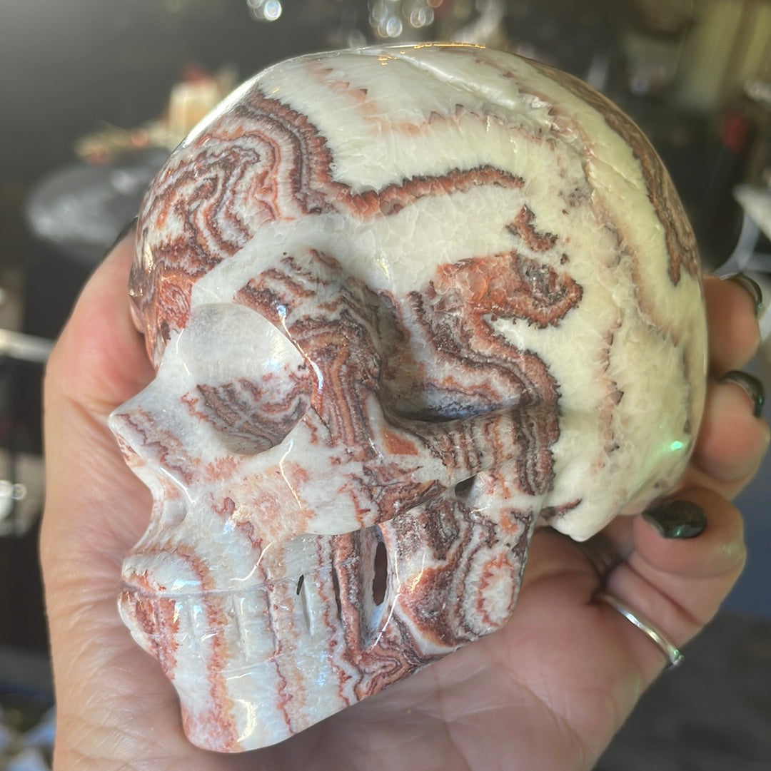 Large Picture Jasper Crystal Skull