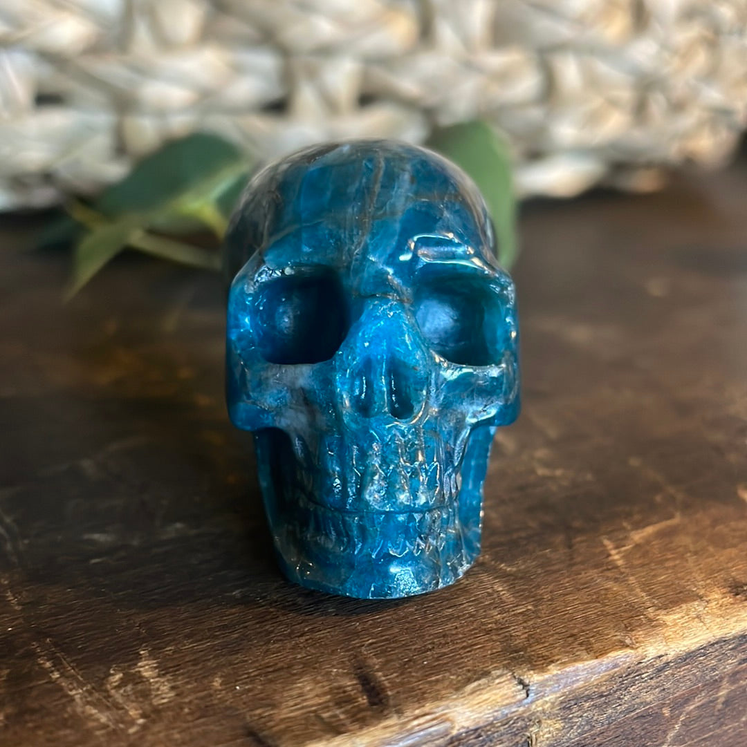 Kyanite Crystal Skull