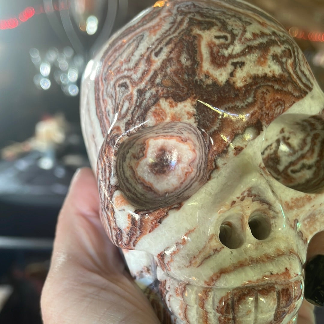 Large Picture Jasper Crystal Skull