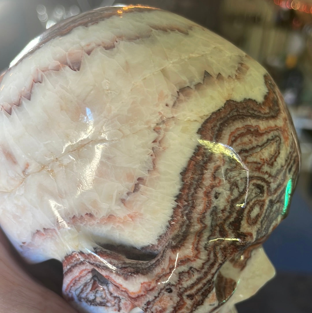 Large Picture Jasper Crystal Skull