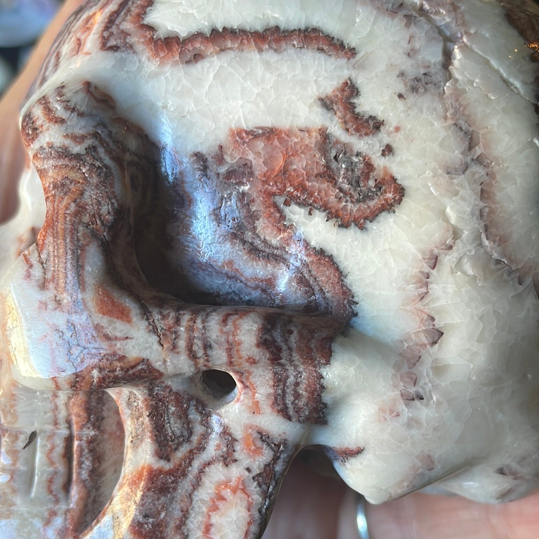 Large Picture Jasper Crystal Skull