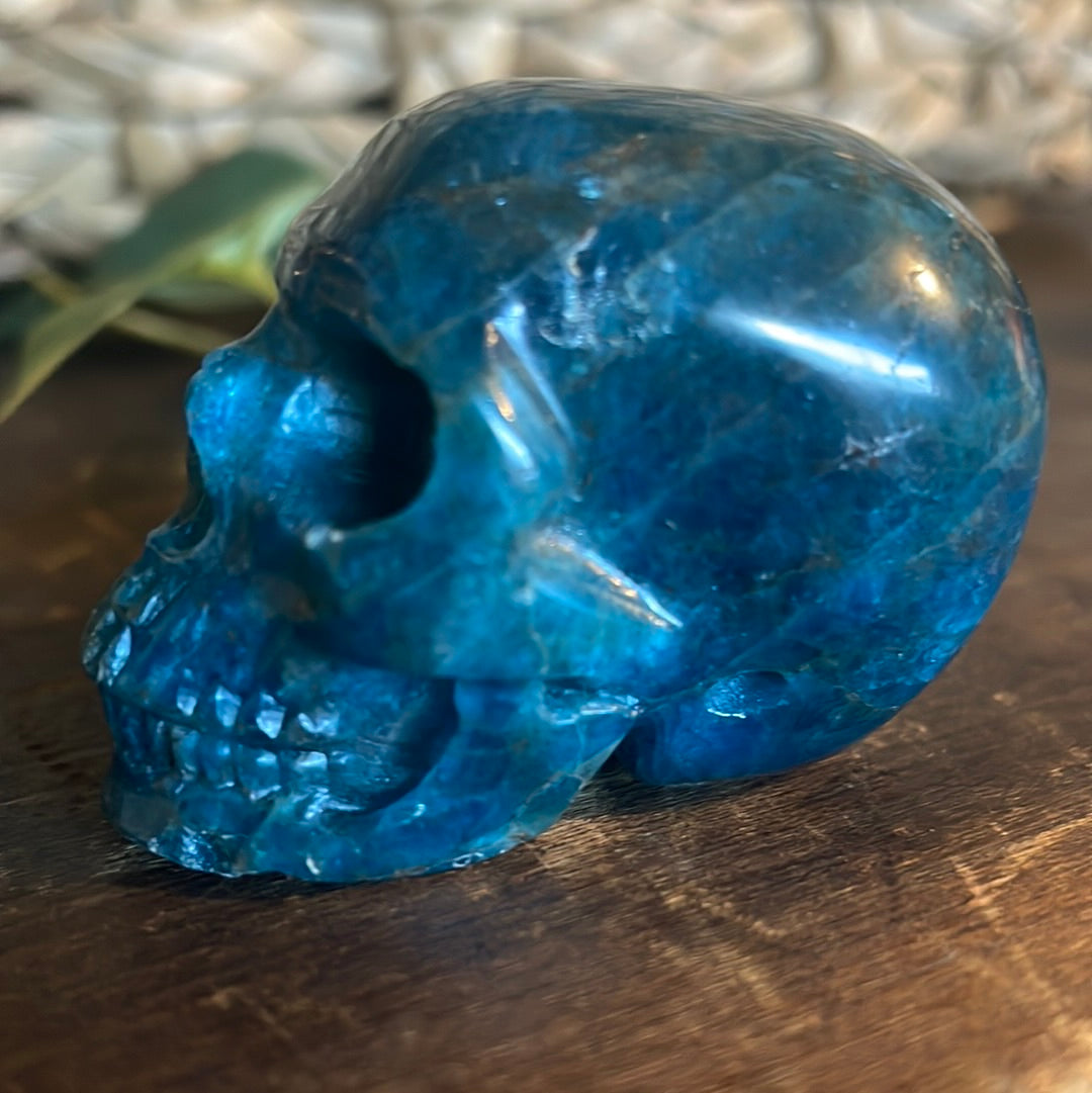 Kyanite Crystal Skull