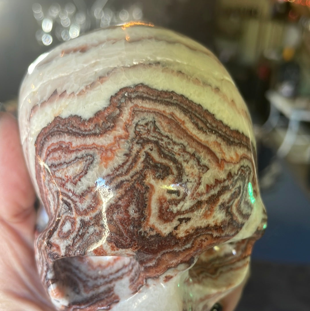 Large Picture Jasper Crystal Skull