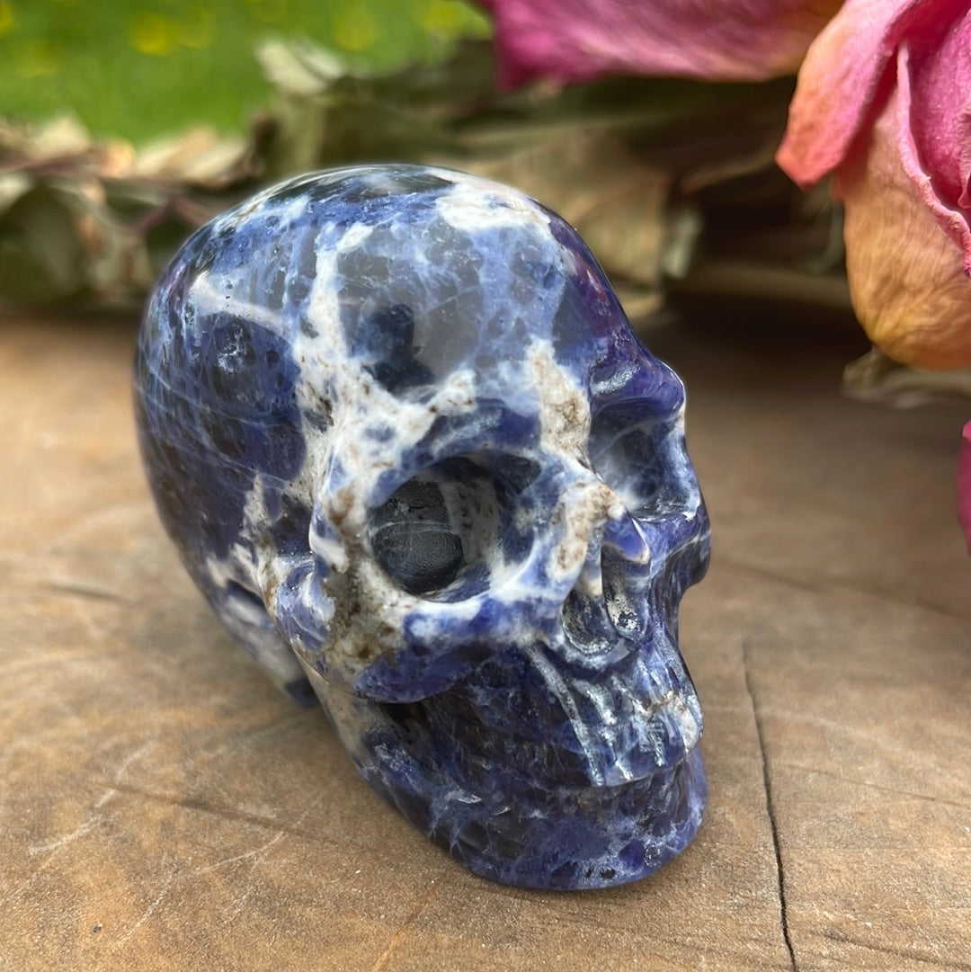 Sodalite Crystal Skull