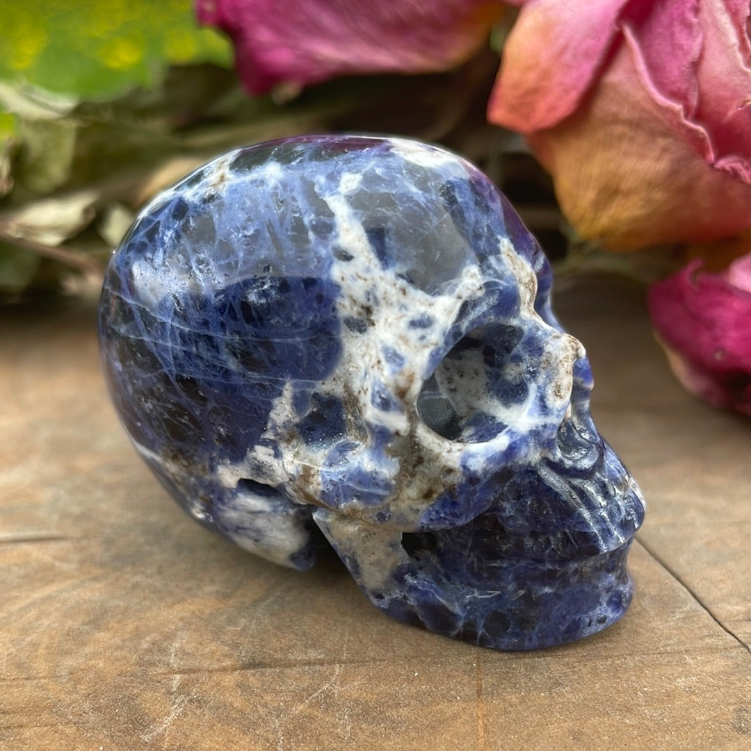 Sodalite Crystal Skull