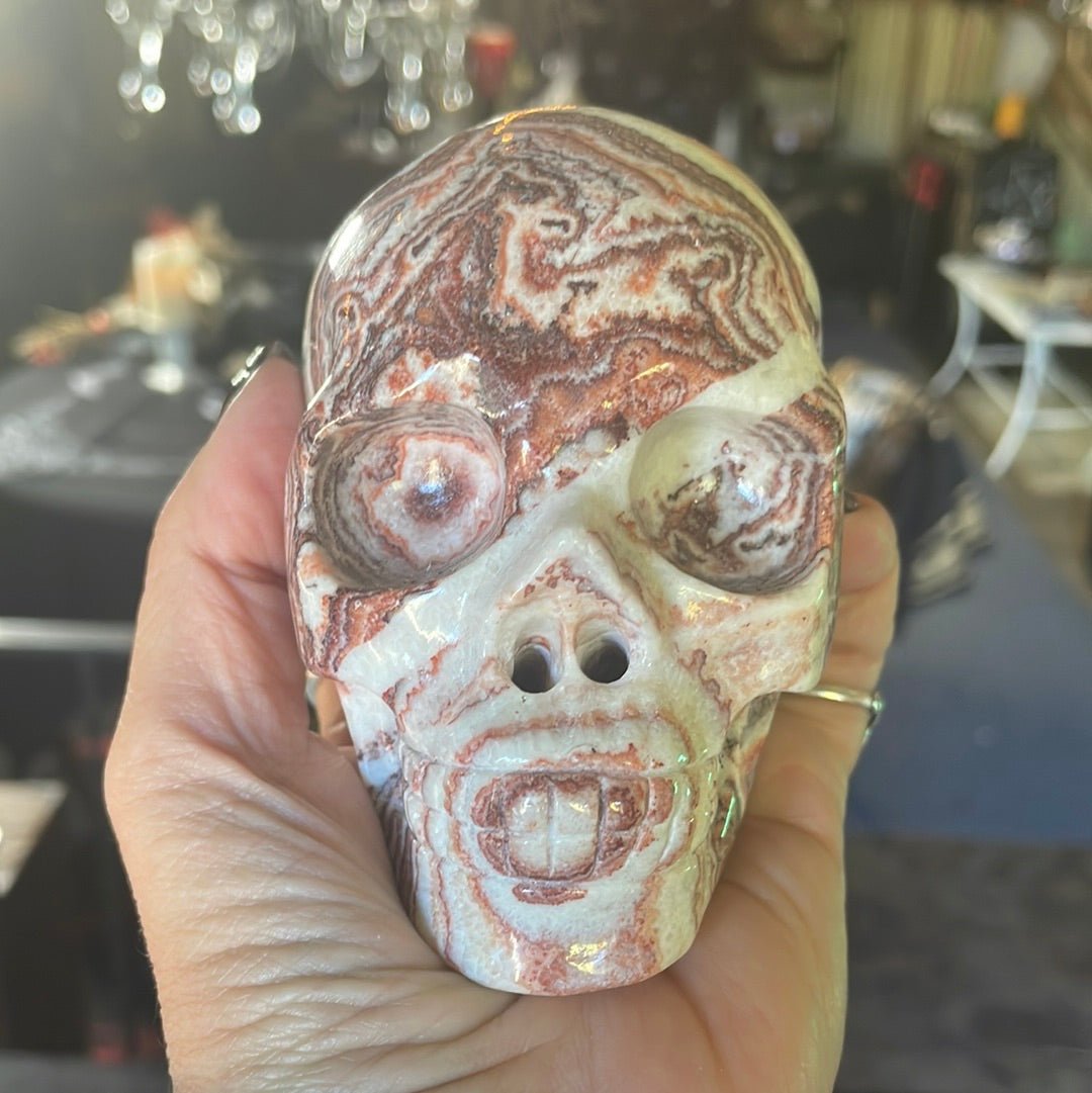 Large Picture Jasper Crystal Skull