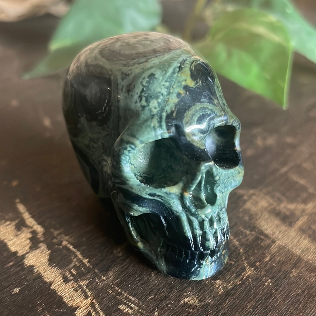 Kambaba Jasper Crystal Skull