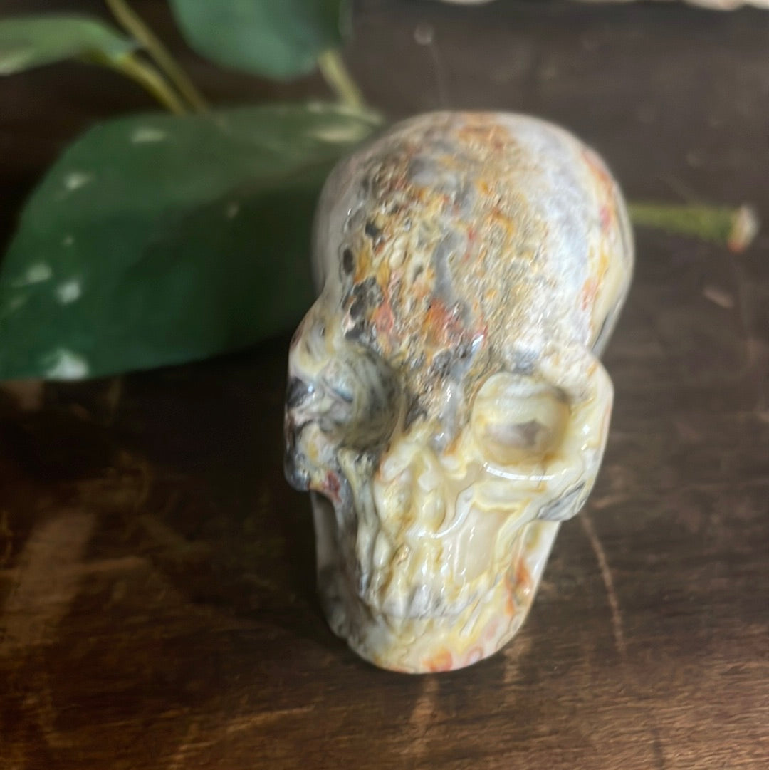 Crazy Lace Crystal Skull