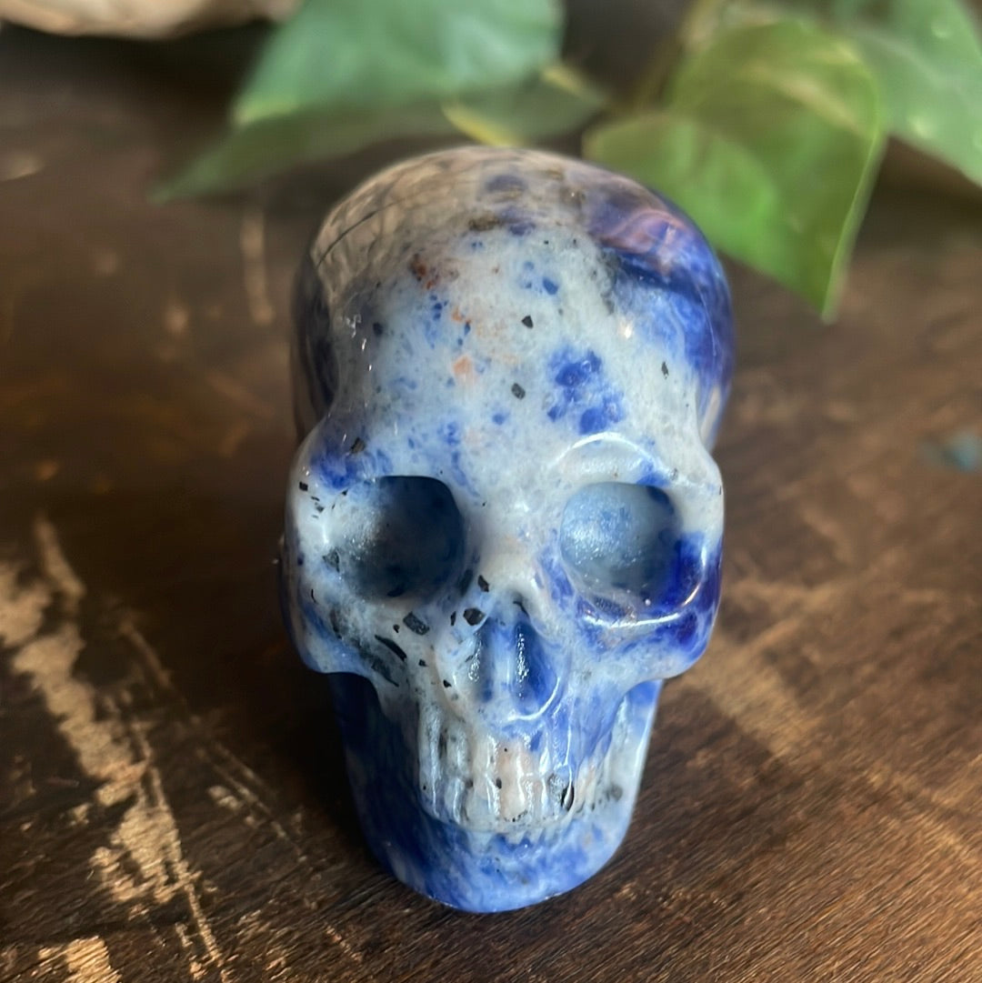 Sodalite Crystal Skull