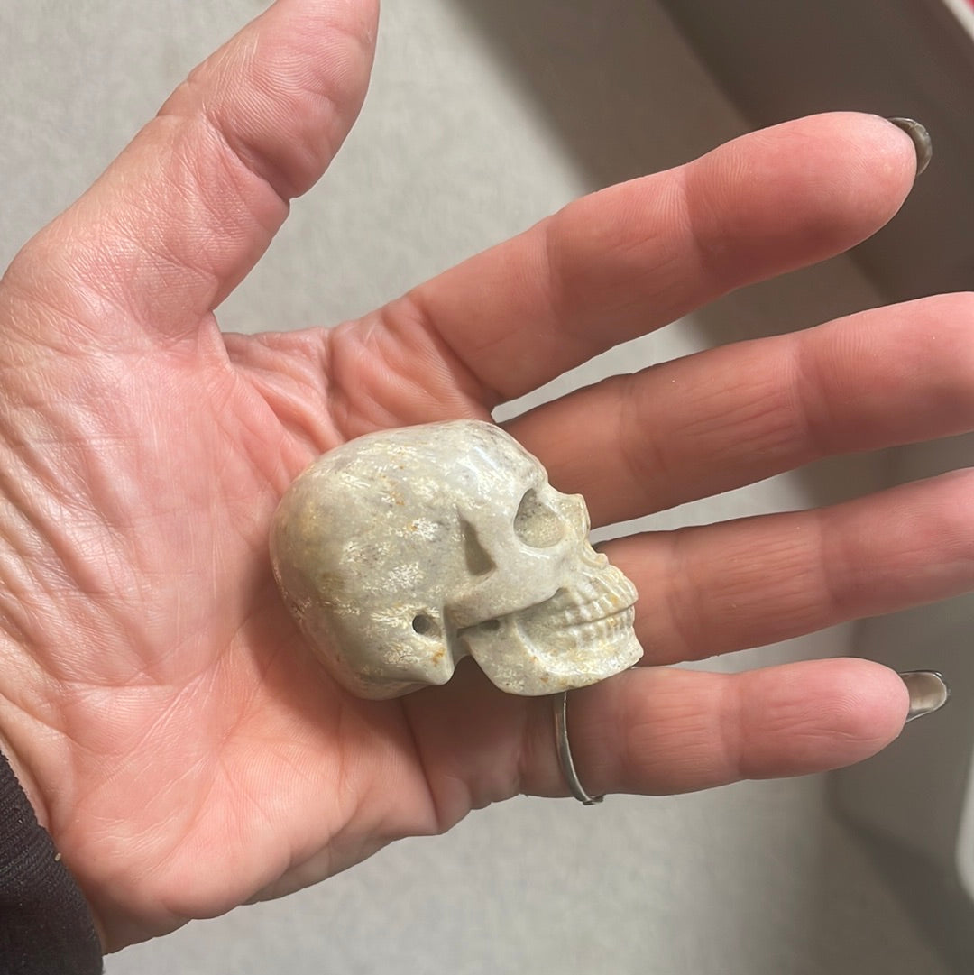 Fossilized Coral Crystal Skull