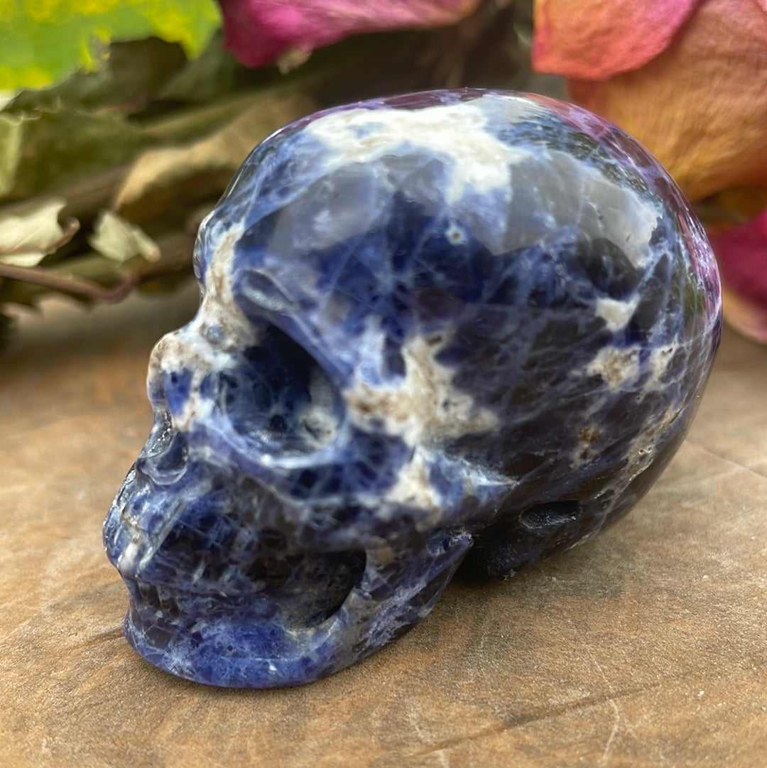 Sodalite Crystal Skull