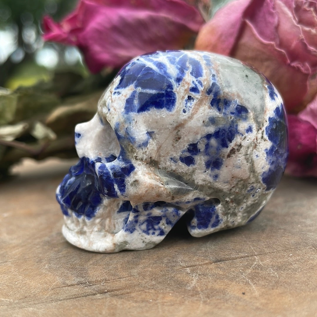 Sodalite Crystal Skull