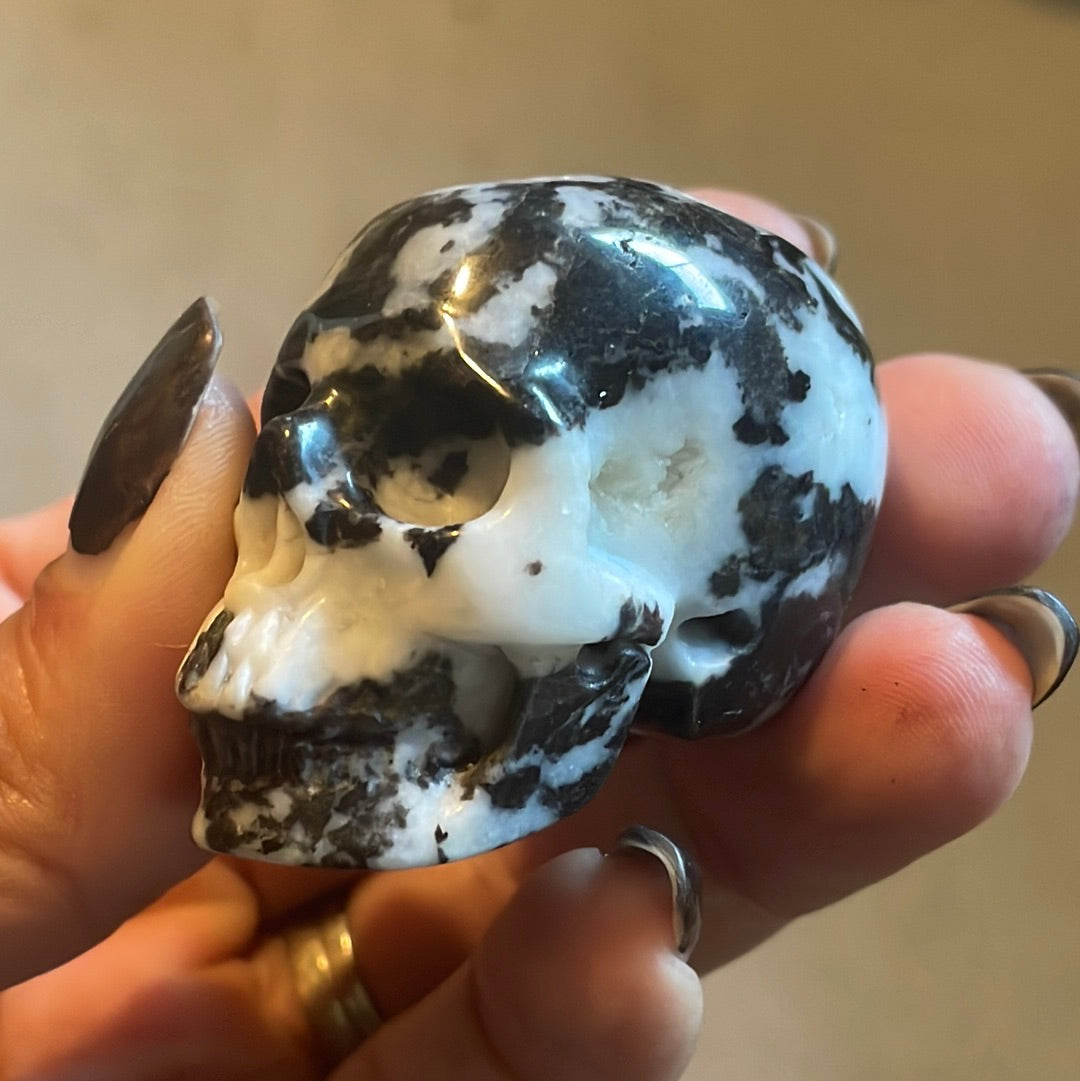 Zebra Jasper Crystal Skull