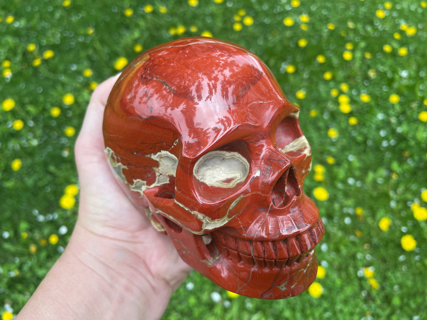 Large Red Jasper Crystal Skull