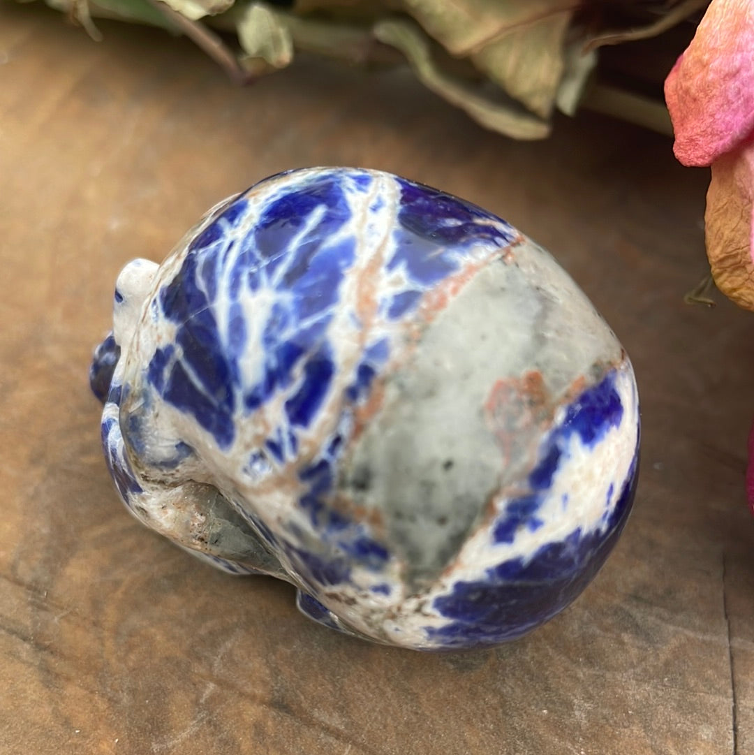 Sodalite Crystal Skull