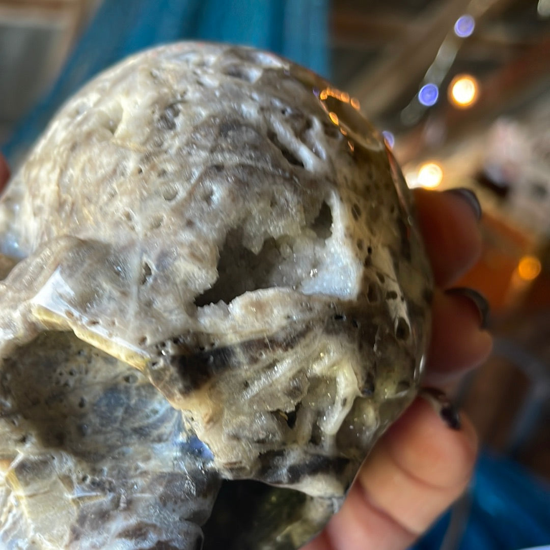 Large Fossilized Coral Crystal Skull