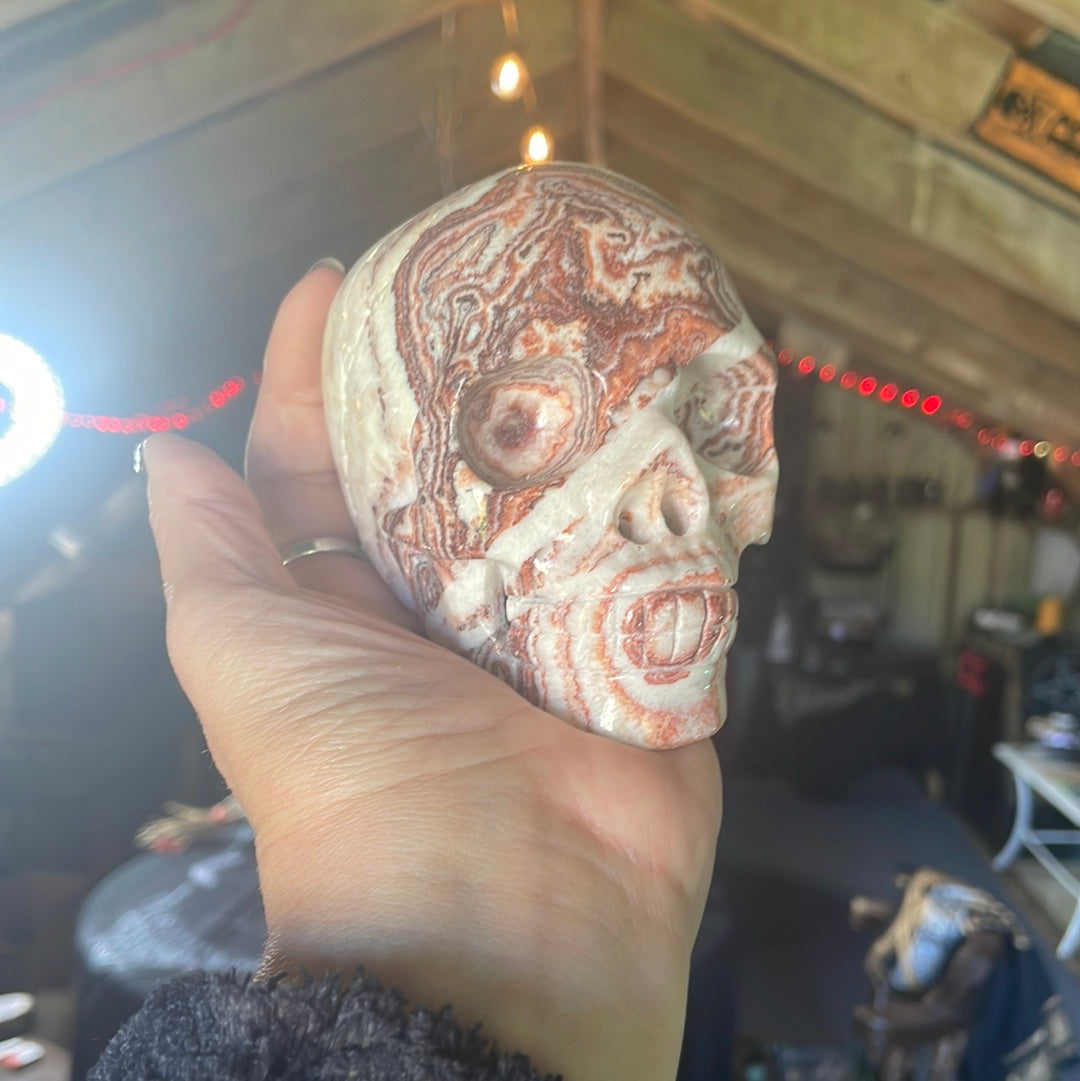 Large Picture Jasper Crystal Skull