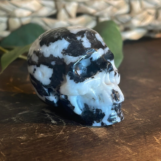 Zebra Jasper Crystal Skull