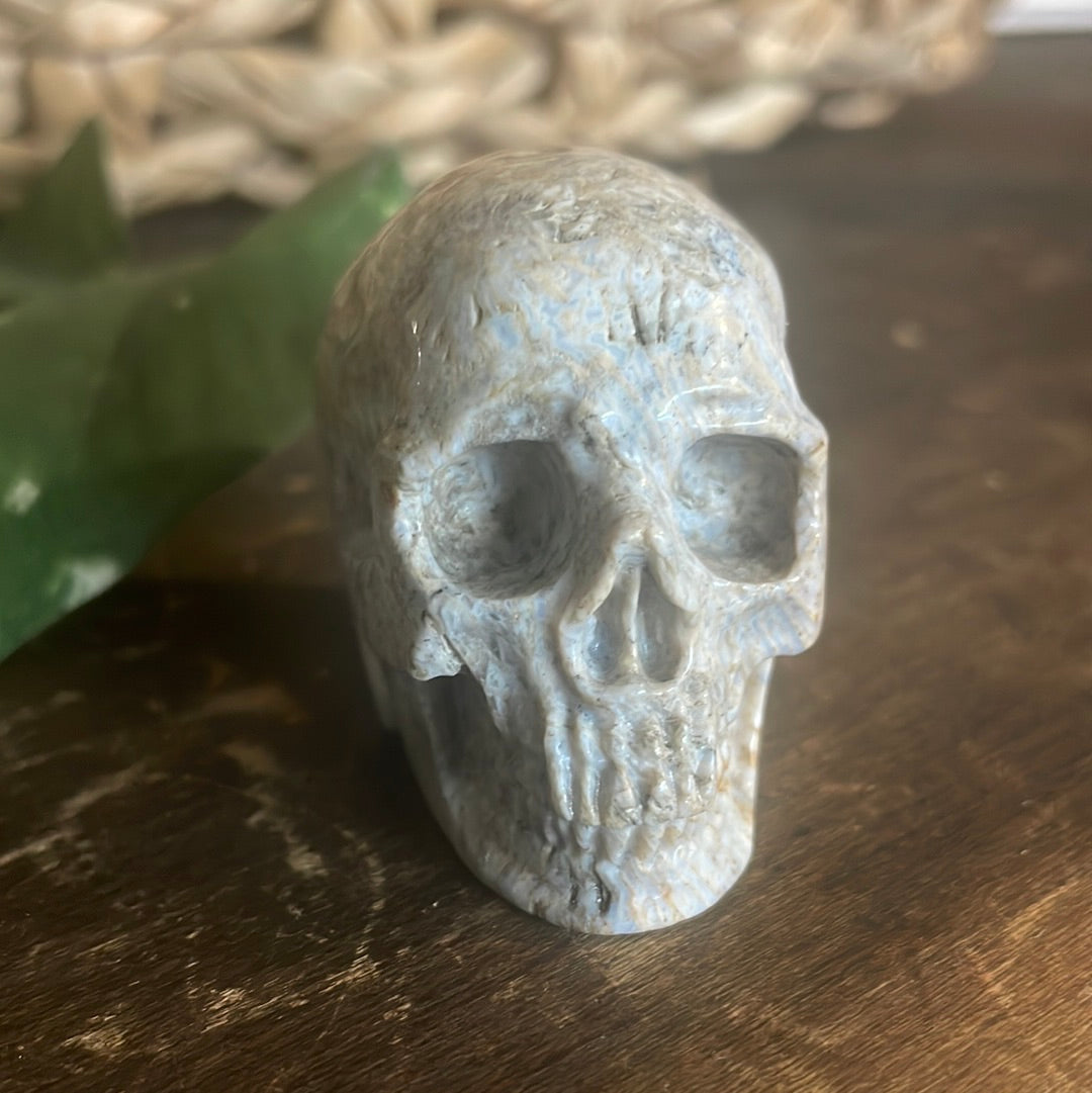 Fossilized Coral Crystal Skull